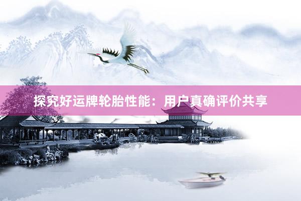 探究好运牌轮胎性能：用户真确评价共享